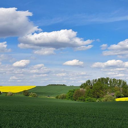 Grosszuegige Wohnung Am Comberg-Park Mettmann Esterno foto