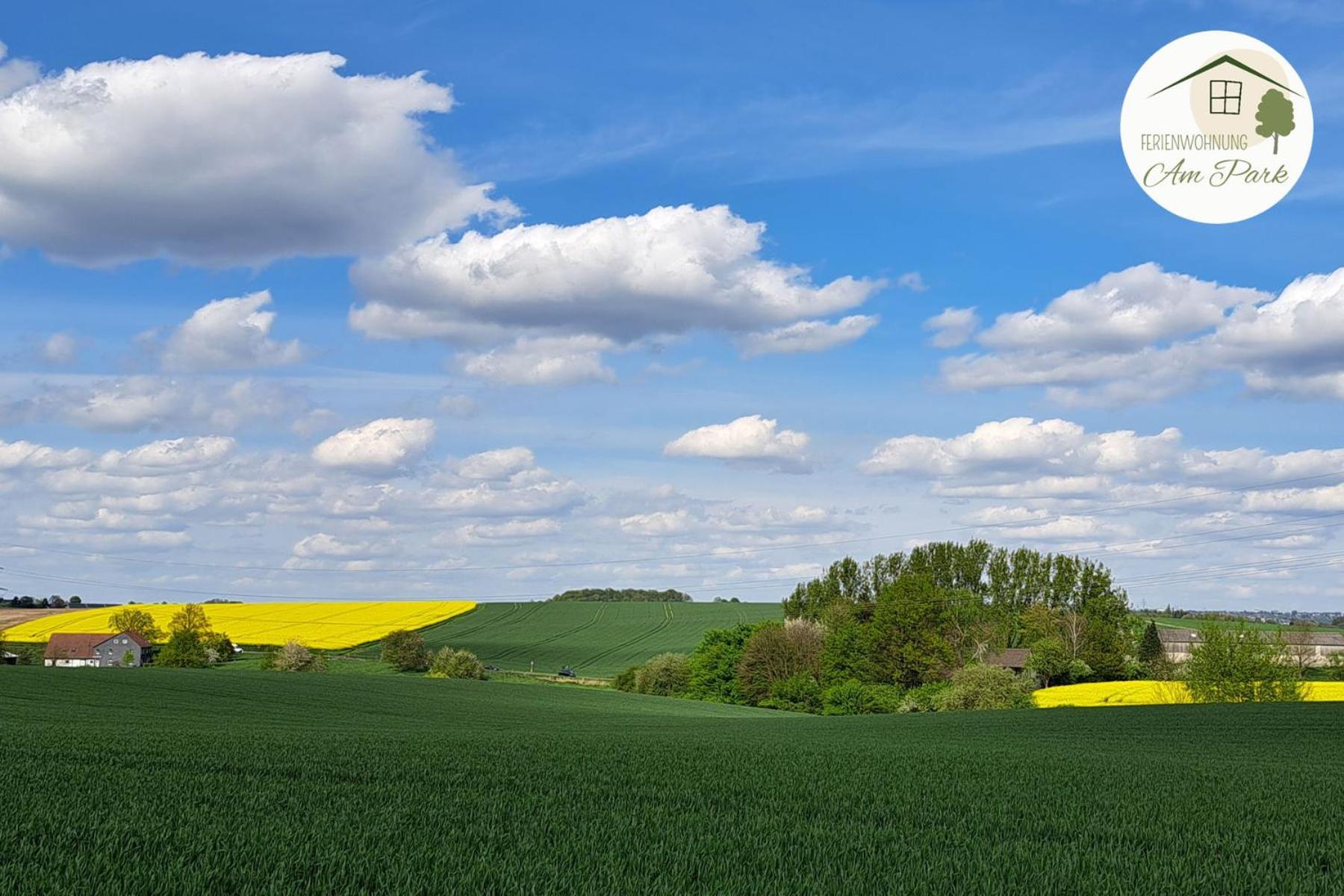 Grosszuegige Wohnung Am Comberg-Park Mettmann Esterno foto